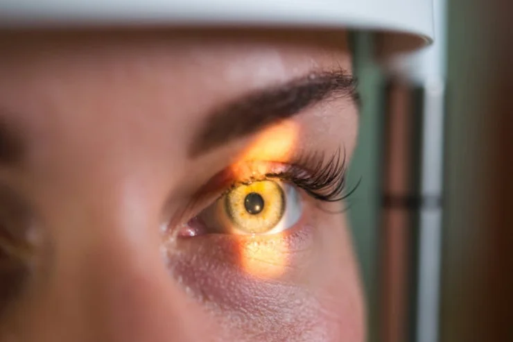 Ophthalmology