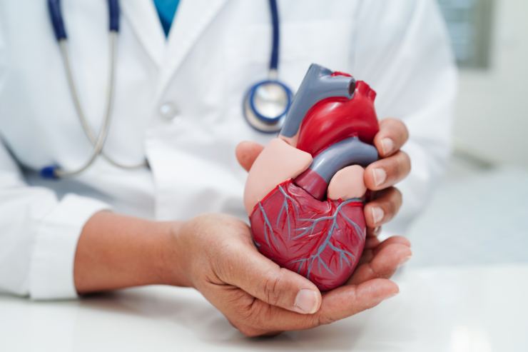 Cardiology